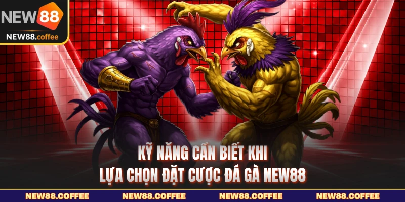 Kỹ năng cần biết khi lựa chọn đặt cược đá gà NEW88